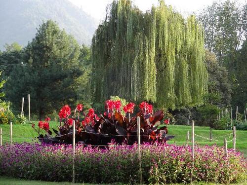 Nehru Botanical Garden